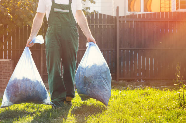 Best Office Cleanout  in Wanakah, NY